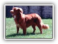 WaycobahsToller 014